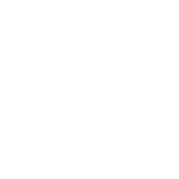 ניחושי מילים