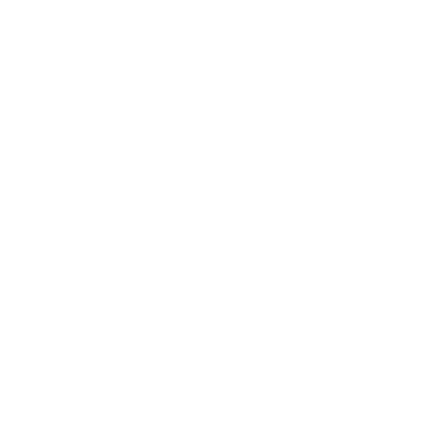 ניחושי מילים