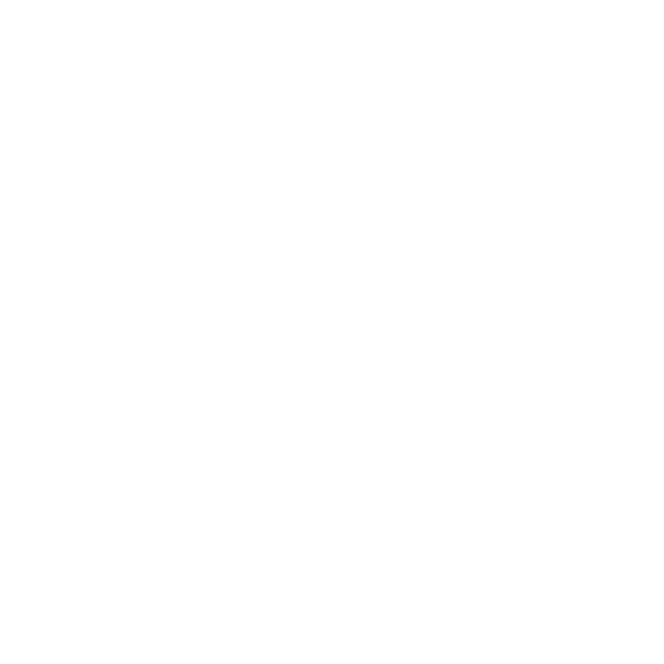 ניחושי מילים